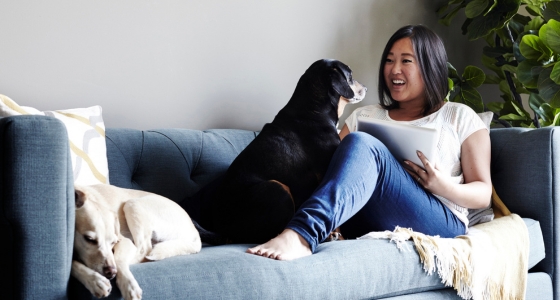 Kvinne som sitter avslappet i sofaen med to hunder, smiler og holder et nettbrett i en lys stue.